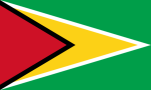Daten-Webseiten in Guyana